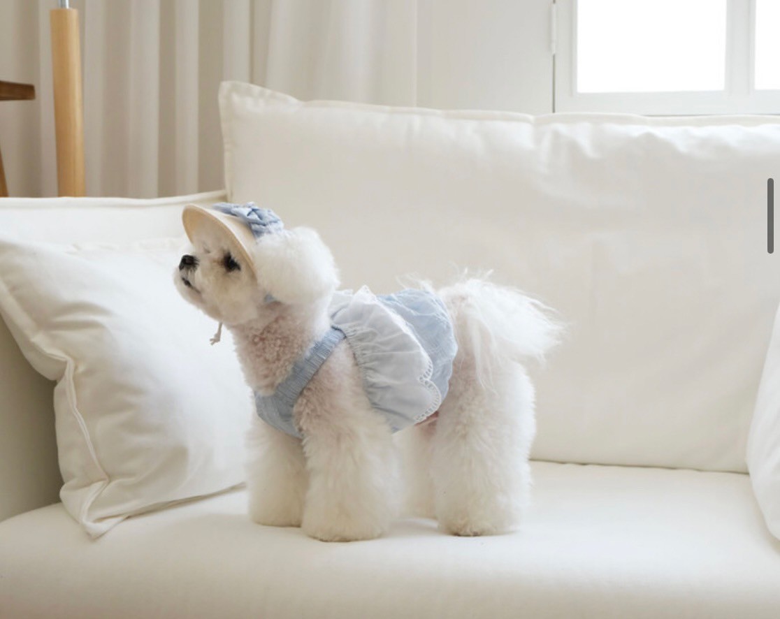 韓国で人気　　　『LilaDog』　　　　　チューリップトップ