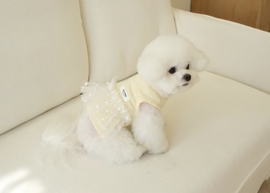 韓国で人気　　　『LilaDog』　　　バレーコアTシャツ