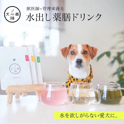 水出し薬膳ドリンクお試しセット