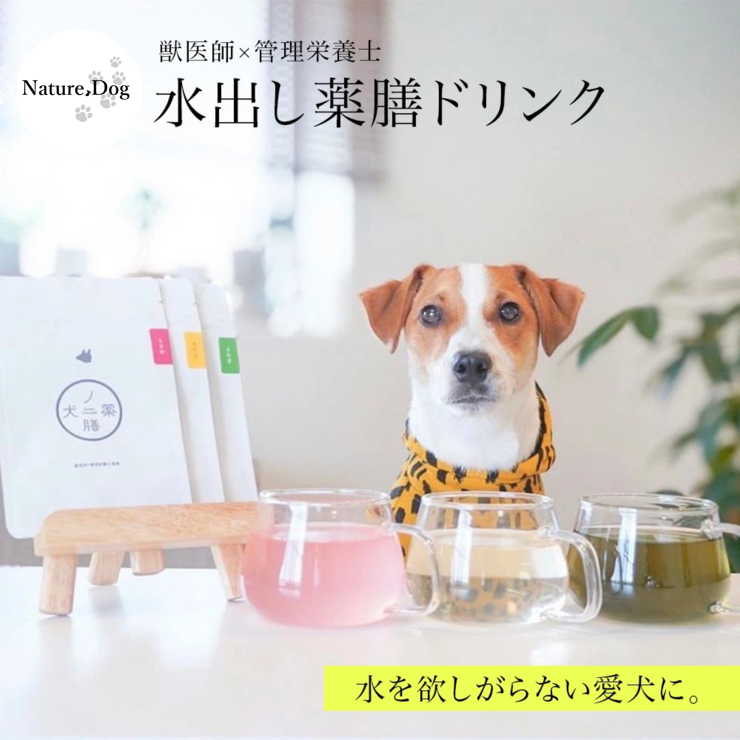 水出し薬膳ドリンクお試しセット